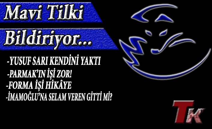 MAVİ TİLKİ BİLDİRİYOR...