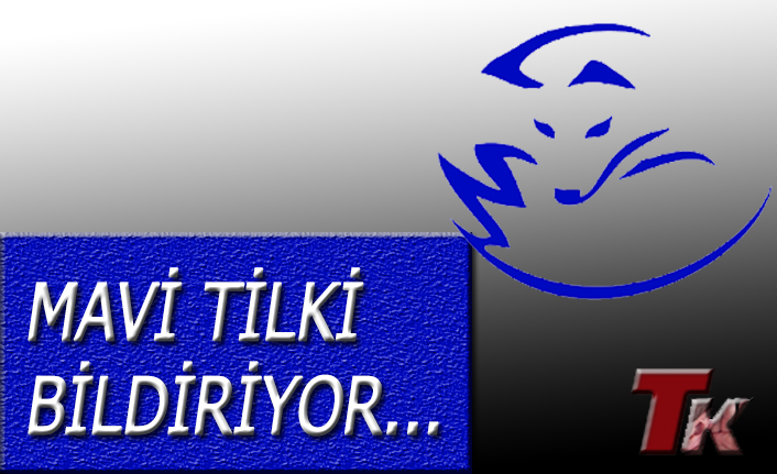 MAVİ TİLKİ BİLDİRİYOR...