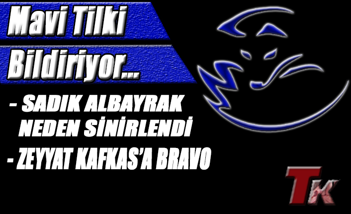 MAVİ TİLKİ BİLDİRİYOR...