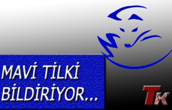 MAVİ TİLKİ BİLDİRİYOR...